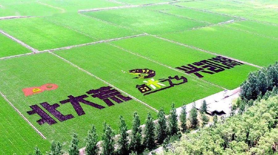 【潇湘文学社】潇湘听松诗社《嵌“菲”字入诗绝》(总318期)(图7)
