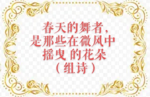 秋鹏:春天的舞者,是那些在微风中摇曳的花朵(组诗)