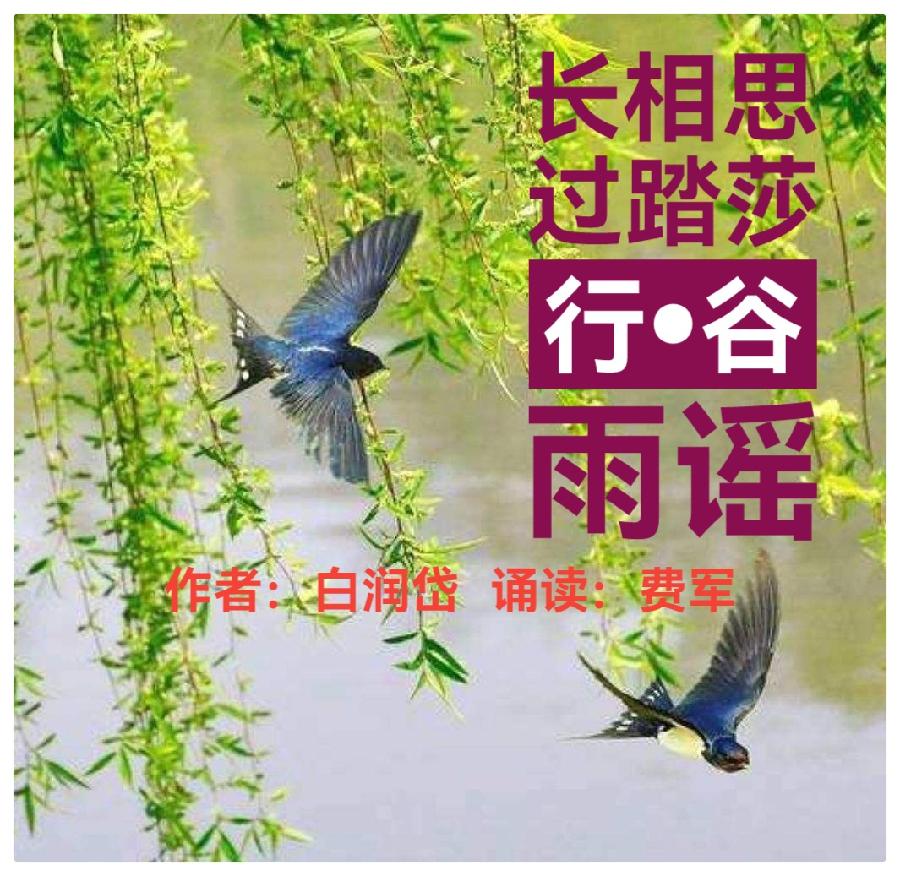 长相思过踏莎行•谷雨谣 ll作者 白润岱 ll 诵读 费军(图2)