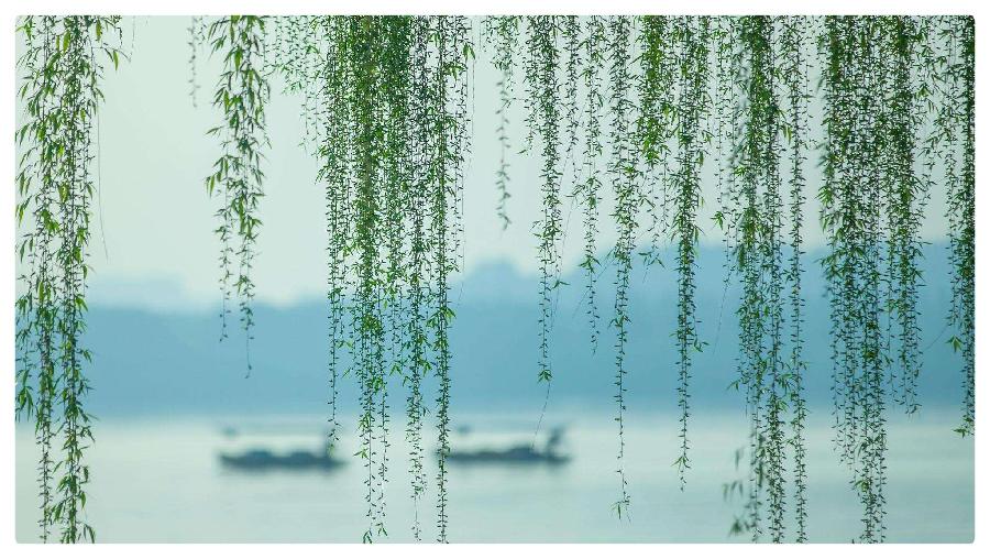 长相思过踏莎行•谷雨谣 ll作者 白润岱 ll 诵读 费军(图3)