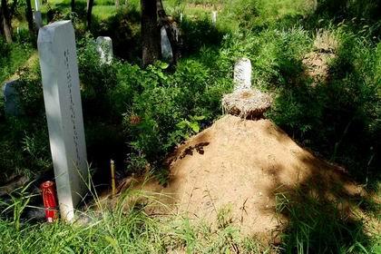 《悼贤侄卢宏达》诗作者/吉星高照、金牌主播/凤珠、总编/黄金满地。中国文学黄金诗院有声之家。(图6)