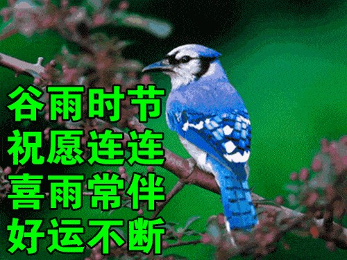 【专题推荐】黄元基//谷雨吟｛五首欣赏｝（图2）