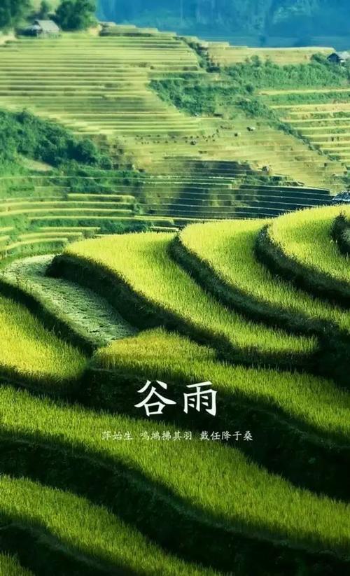 中华诗艺九江格律诗词精品鉴赏(合辑)第1420期(图24)