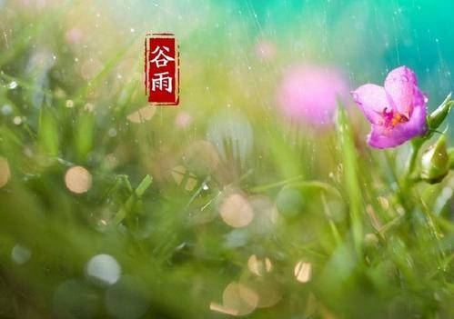 【专题推荐】“农民诗人”曹南强//春景｛外二首｝（图3）