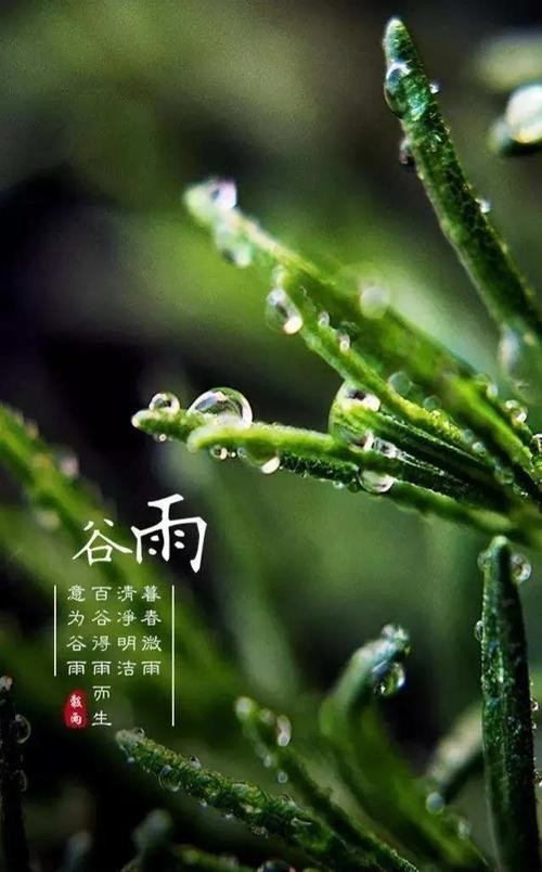 【九江文学社:北京头条】《谷雨专刊》(图9)
