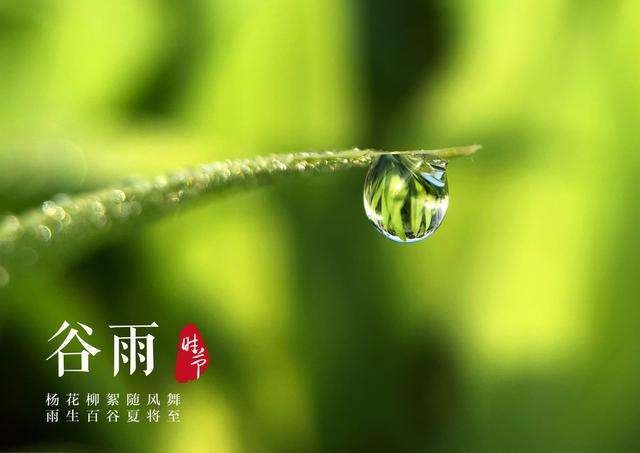 【九江文学社:北京头条】《谷雨专刊》(图12)