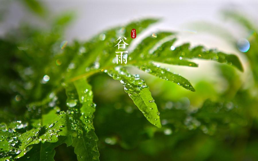【九江文学社:北京头条】《谷雨专刊》(图20)