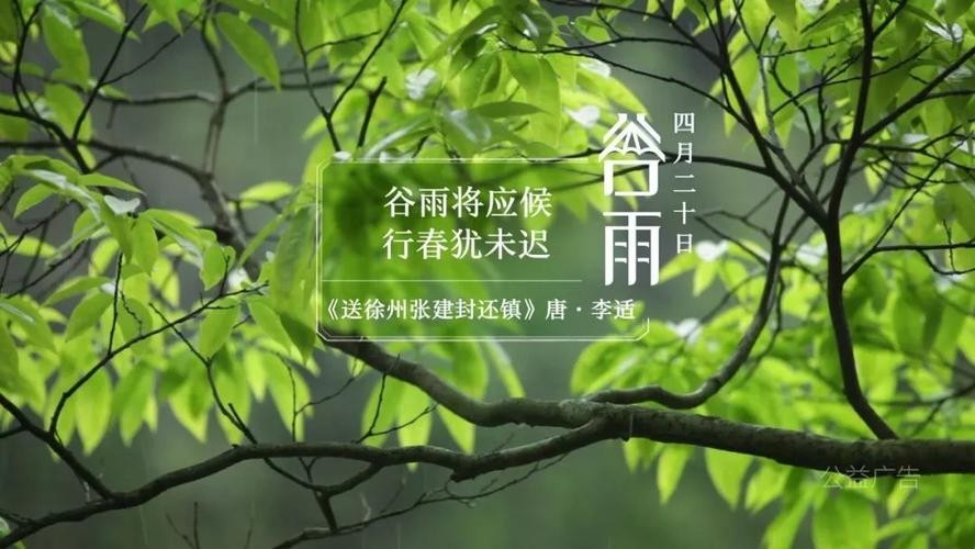 【九江文学社:北京头条】《谷雨专刊》(图21)