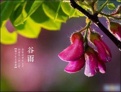 【九江文学社:北京头条】《谷雨专刊》(图22)