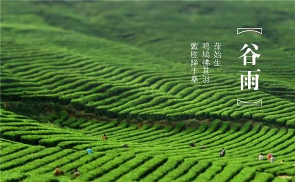 【九江文学社:北京头条】《谷雨专刊》(图27)