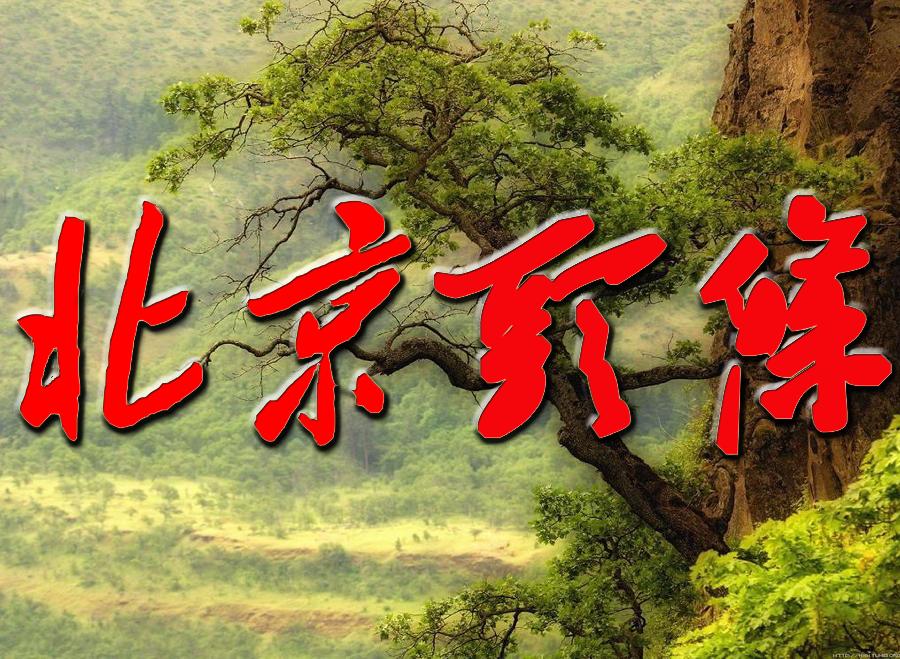 点墨春意浓【邓中华诗词集】十二(春之韵)(图2)
