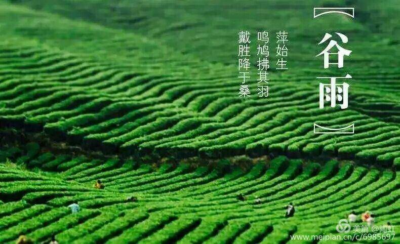 中华诗艺九江格律诗词精品鉴赏(合辑)第1420期(图26)