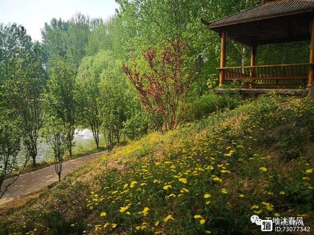 《花朝清韵》第三十五期《最美四月天》(图7)