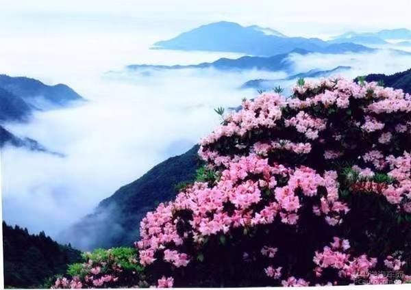 《七绝组诗·歌咏谷雨》（新韵）作者: 江花（北京）长安街总社【世界诗人名人展】（8471）（图4）