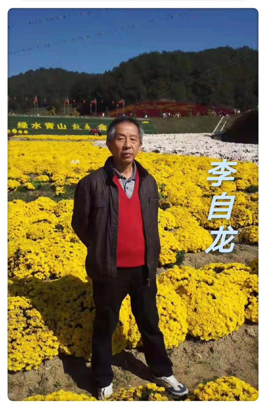 【翰林国粹诗社】才子刊037期(图19)