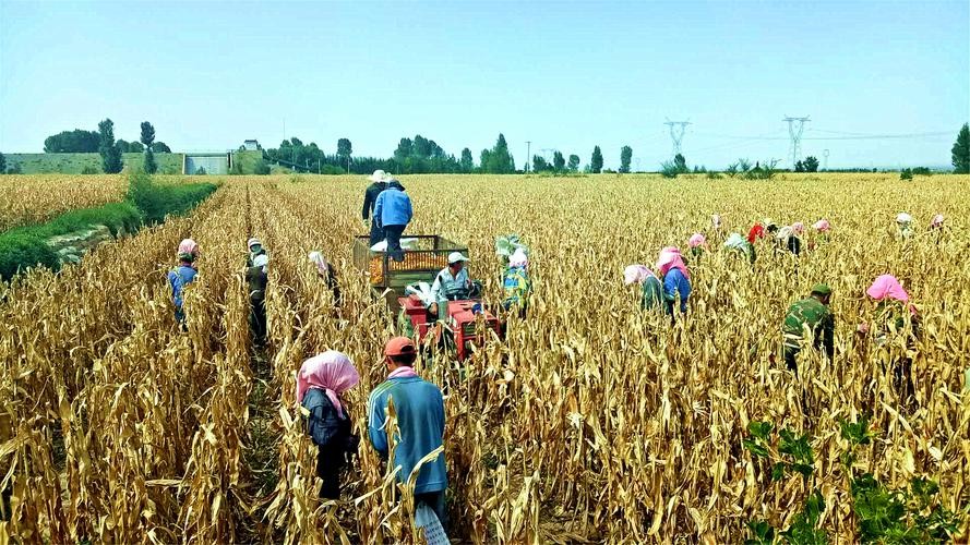 【经典推荐】田亮只老师//乡村小思｛欣赏｝（图4）
