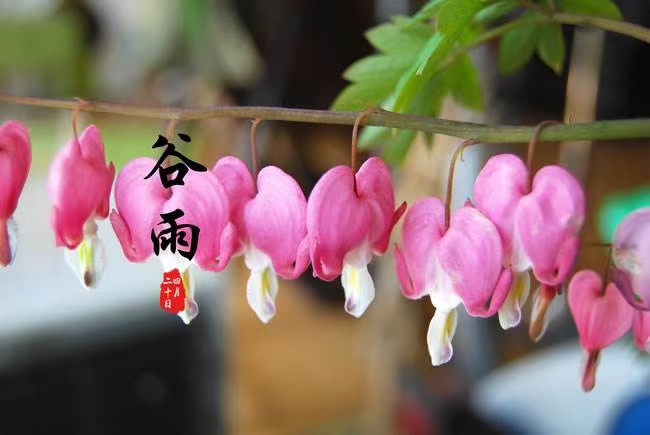 拽住春天的尾巴（图2）