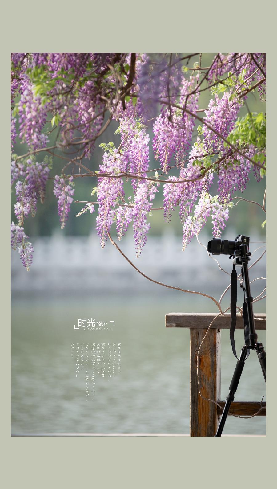 【雅诗总会】佳篇★美好瞬间凝于此——祁奇摄影作品欣赏（图13）