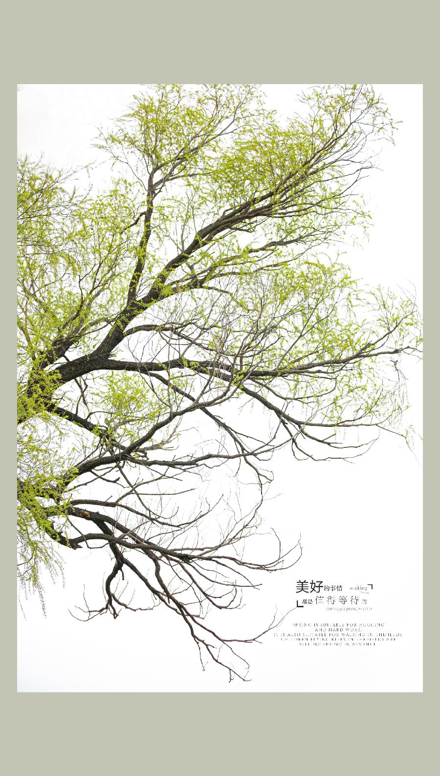 【雅诗总会】佳篇★美好瞬间凝于此——祁奇摄影作品欣赏（图18）