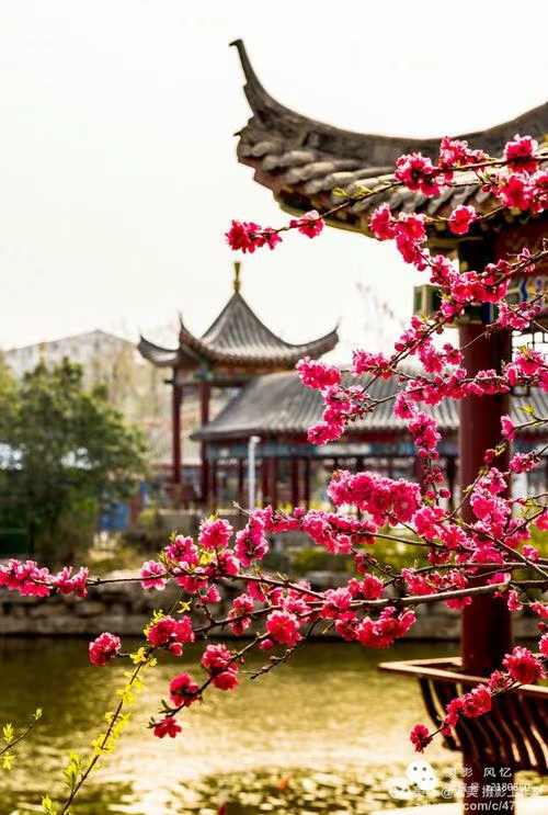 中华诗艺九江格律诗词精品鉴赏(合辑)第1421期(图24)