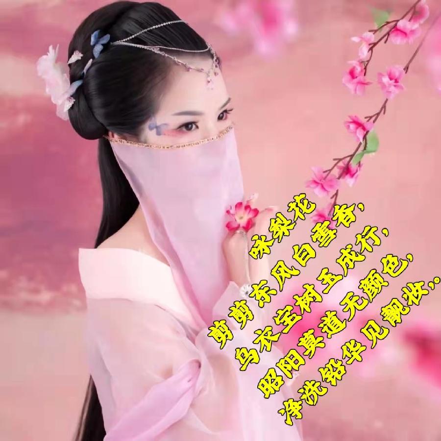 【经典推荐】昨夜天//守一处芸窗 烟雨共生（图2）
