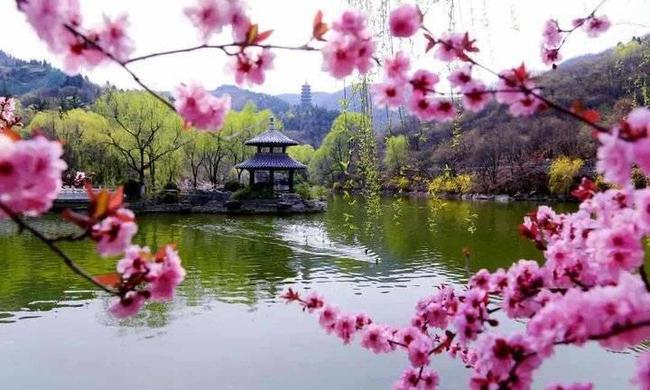 中华诗艺九江格律诗词精品鉴赏(合辑)第1421期(图37)
