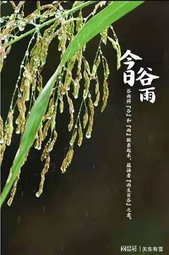 卜算子-谷雨A股倒春寒何惧* 文/冯志清(上海)【冰心文化传媒】(图5)
