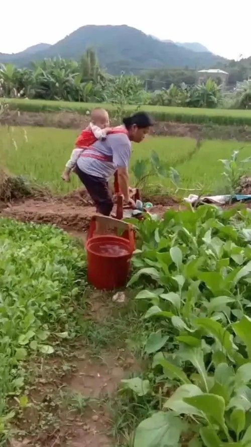[桃源馨声]我是娘背上的孩子|作者:王跃|主播:张水芹[总1098期]（图5）