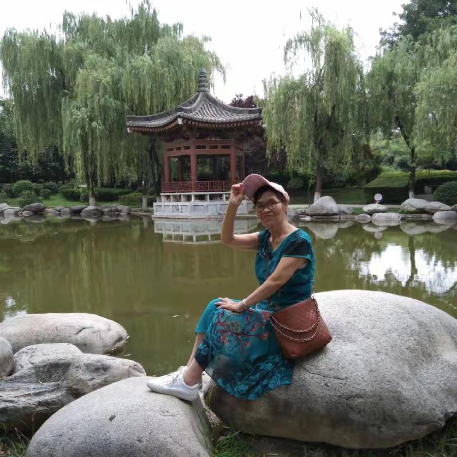 【打油诗】梦境，重游月登阁：作者／王福兰（陕西西安）（图3）