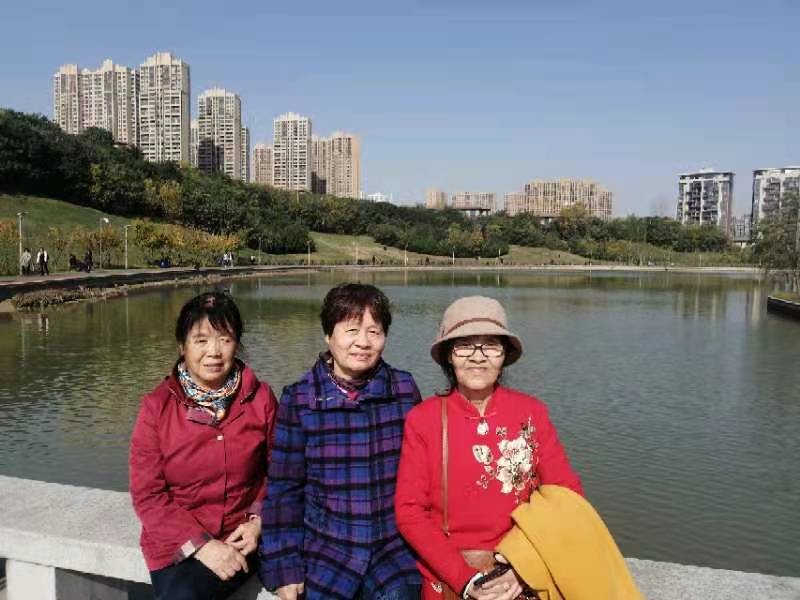 【打油诗】梦境，重游月登阁：作者／王福兰（陕西西安）（图4）