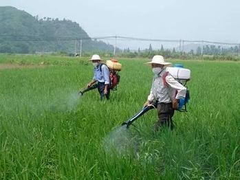 金多景子的精彩诵读——《我问》（图6）