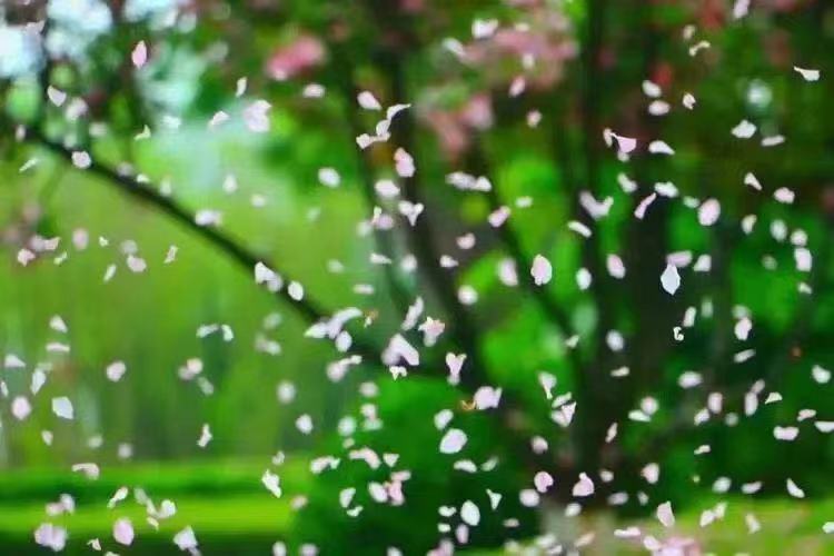 谷雨吟Ⅱ文图/吕锦芳（图3）