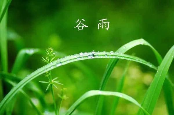 【潇湘文学社】潇湘如兰诗社《谷雨》(总321期)(图4)