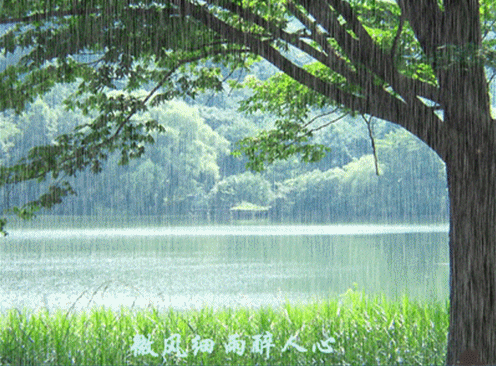 联机全球发布黄玉萍精品诗歌（图4）