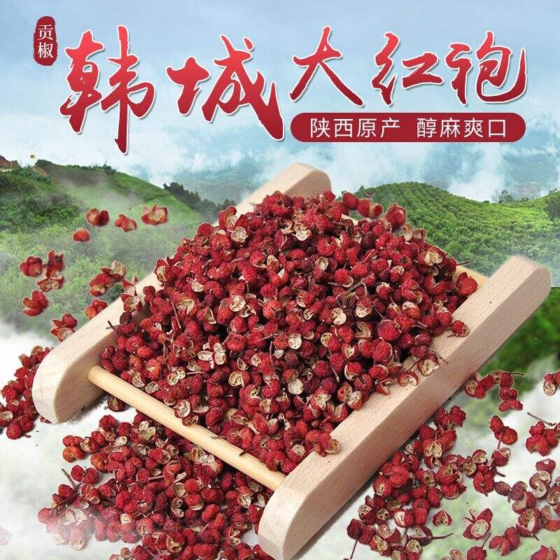 【纪实散文】孟益沟是个好地方:文/吴宪康(陕西韩城)(图3)
