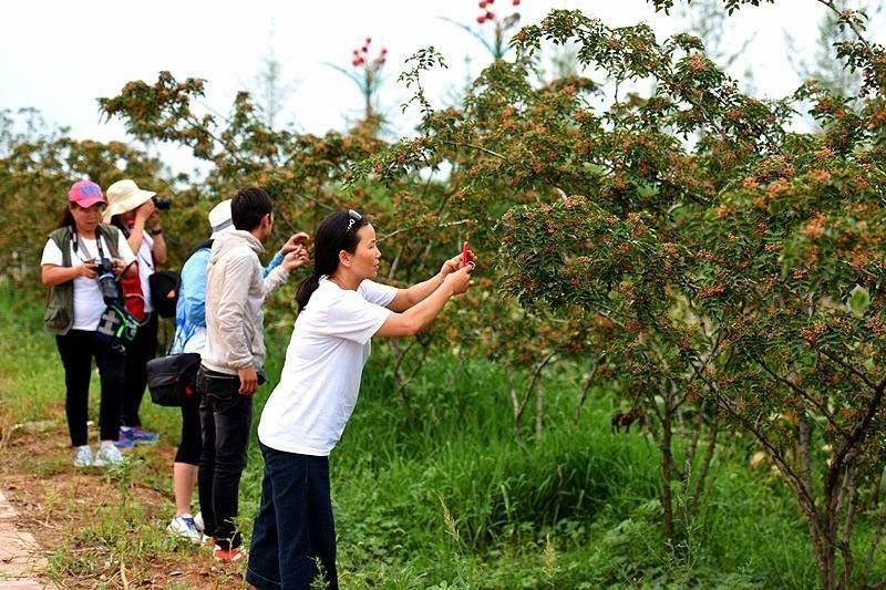 【纪实散文】孟益沟是个好地方:文/吴宪康(陕西韩城)(图5)