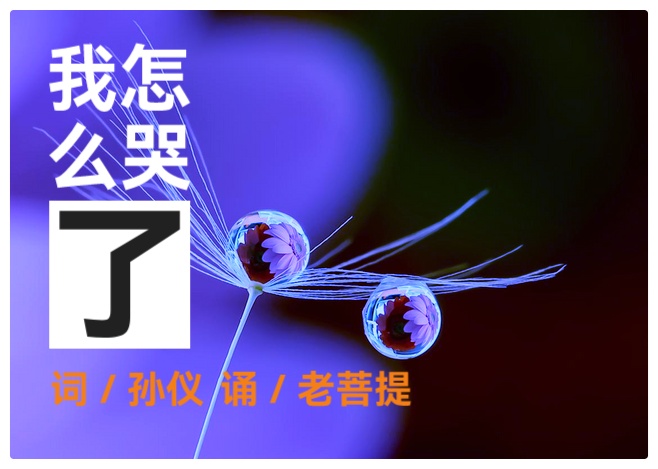 我怎么哭了ll作者 孙仪ll诵读 老菩提(图2)