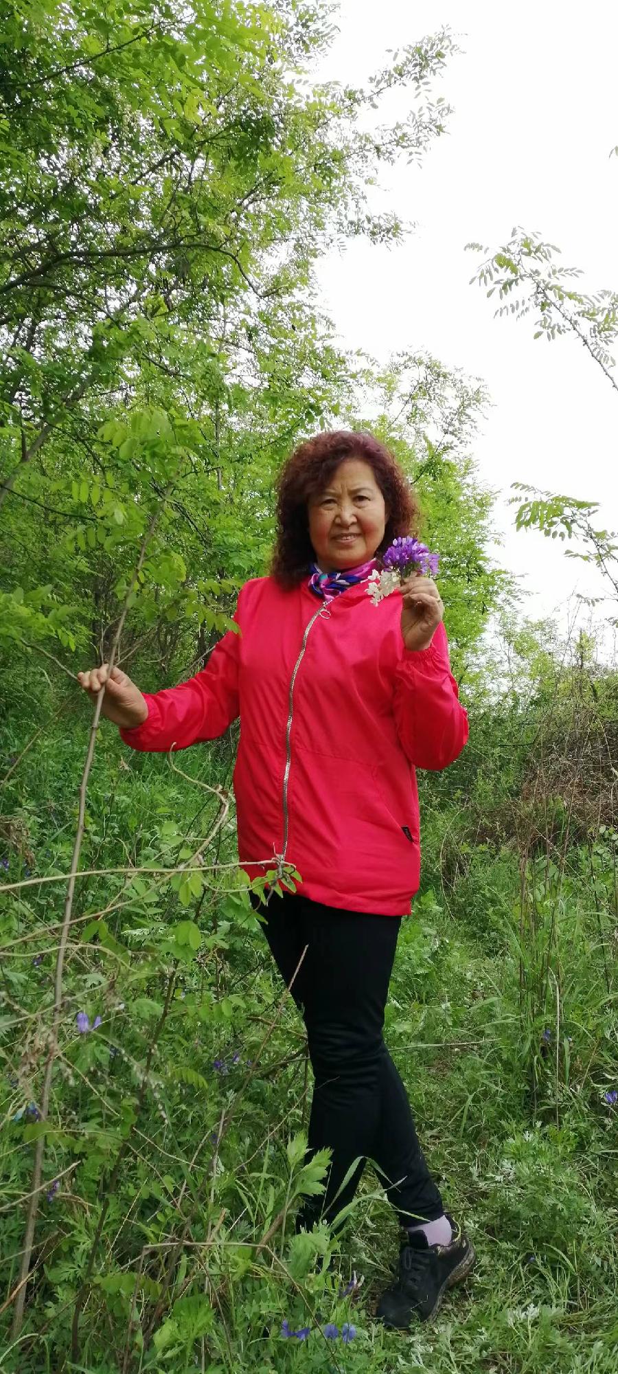 【雅诗总会】精美藏头诗★《莺歌燕舞》(外十二首)欣赏‖作者:白莲/腊梅（图3）