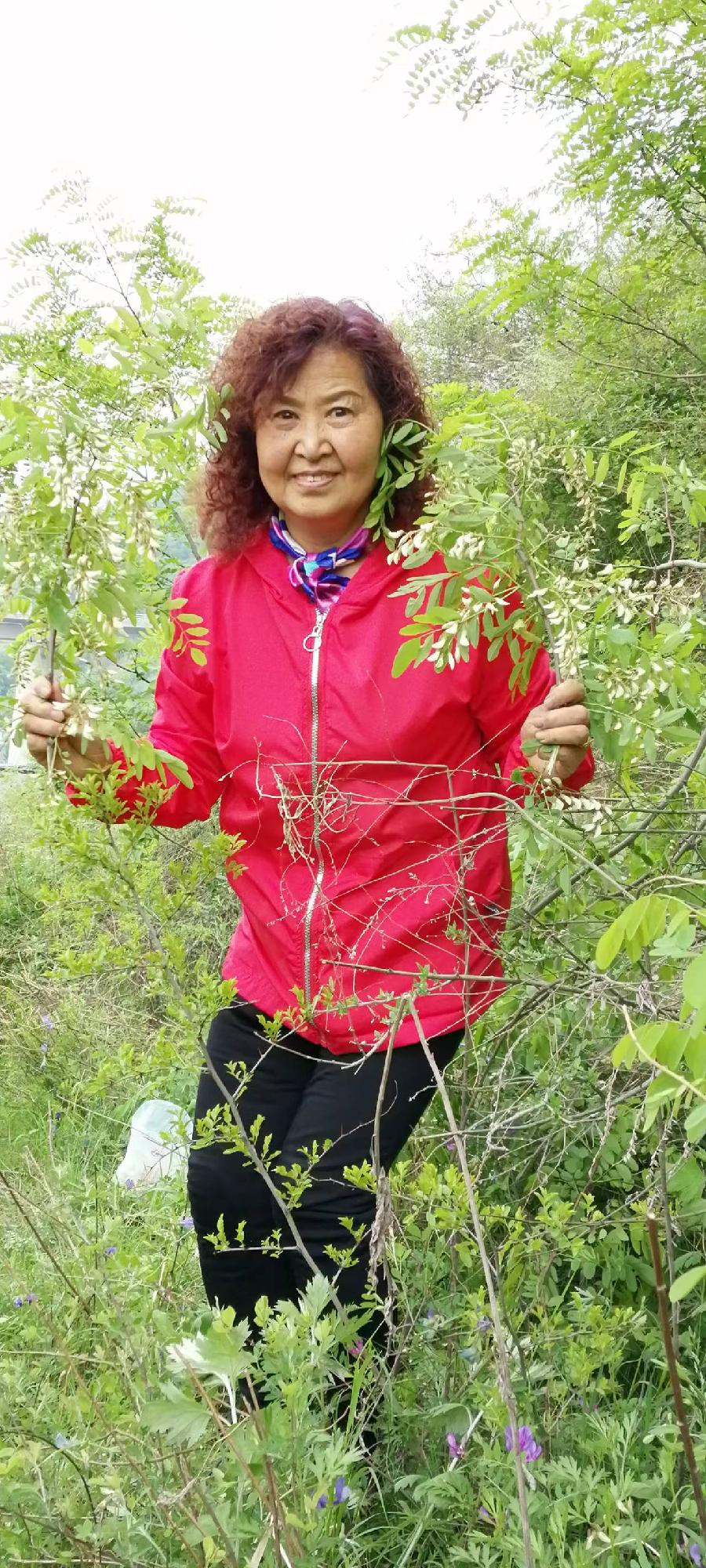 【雅诗总会】精美藏头诗★《莺歌燕舞》(外十二首)欣赏‖作者:白莲/腊梅（图5）