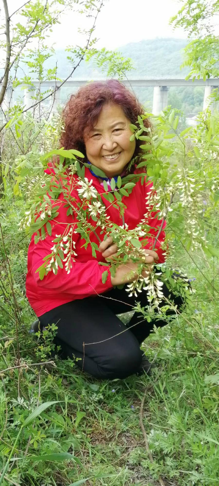 【雅诗总会】精美藏头诗★《莺歌燕舞》(外十二首)欣赏‖作者:白莲/腊梅（图22）