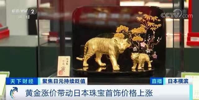 金字经-日元缘何速贬大跳水 冯志清 【冰心文化传媒】(图9)