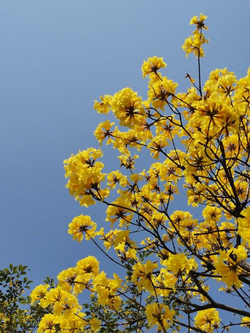 荐赏【神州源流诗苑】第619期[优秀近体诗]周刊（图8）