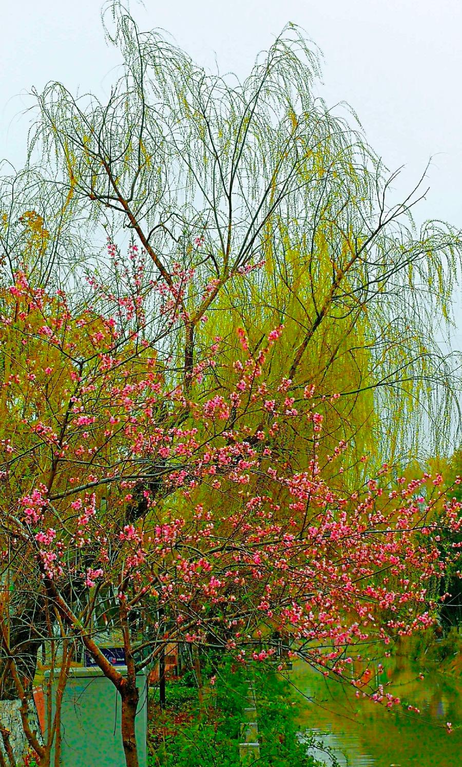 心尘文艺 第528期(图4)