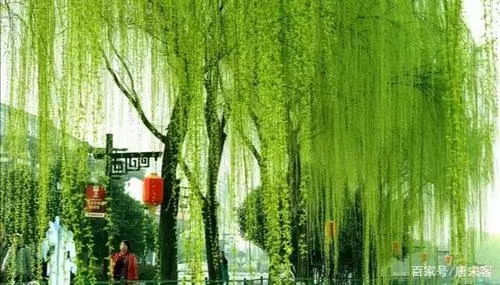 《江南诗絮-古韵风采》（图11）