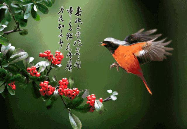 【潇湘文学社】潇湘风荷联社《对句练习》(总323期)(图13)
