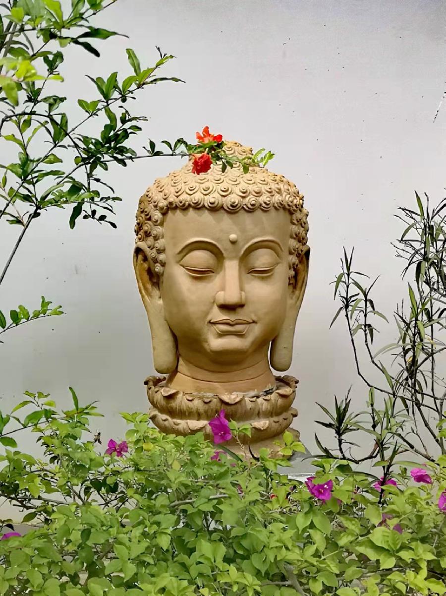 【梧桐山凤凰遊】文/磊怀(图8)