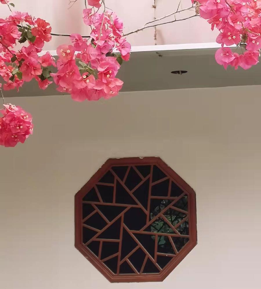 【梧桐山凤凰遊】文/磊怀(图13)