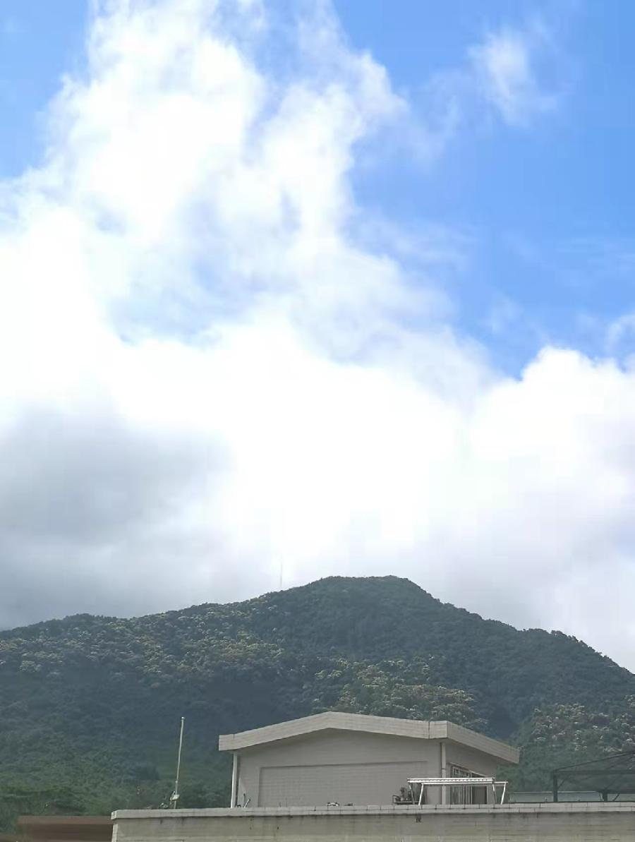 【梧桐山凤凰遊】文/磊怀(图17)