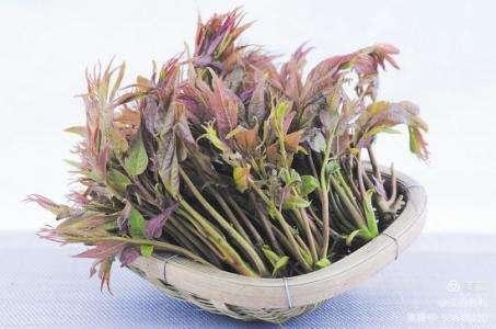 七律四首《香椿吟》作者 王仲飞（北京）【冰心文化传媒】（图6）