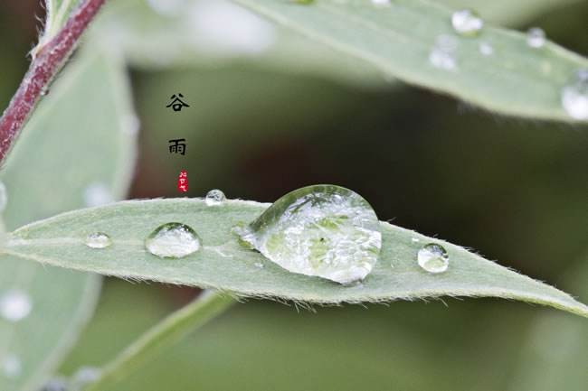 〔诗词小辑〕作者 周海峰（哈尔滨）【冰心文化传媒】制作 冰心（图8）